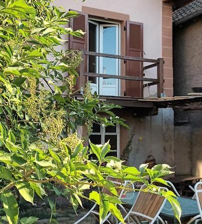 Au Jardin De La Maison Des Soeurs Mutzig Ngoại thất bức ảnh