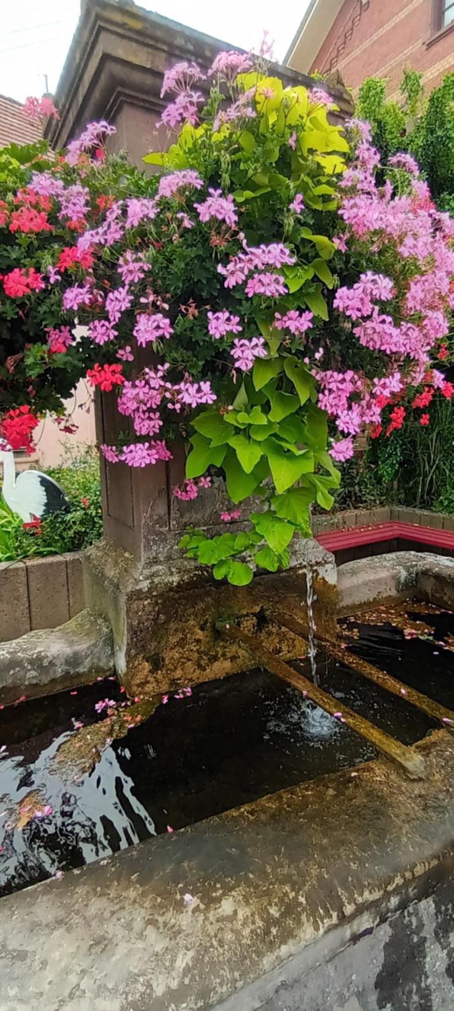 Au Jardin De La Maison Des Soeurs Mutzig Ngoại thất bức ảnh